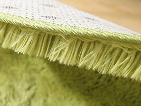 TZ Zelený obdĺžnikový shaggy koberec Lana Rozmer: 120x170