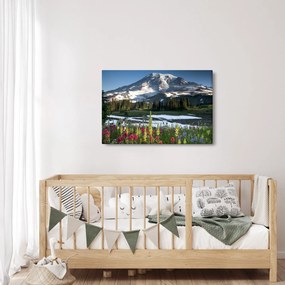 Obraz - Mount Rainier (90x60 cm)