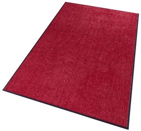 Hanse Home Collection koberce Rohožka Wash & Clean 101466 Bordeaux - 40x60 cm