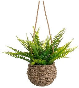 Umelá papraď (výška 25 cm) – Casa Selección