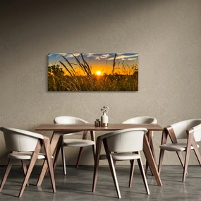 Obraz pole pri západe slnka (120x50 cm)