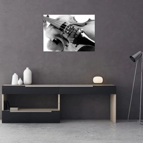 Obraz - Husle (70x50 cm)