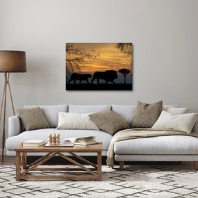 Obraz Safari (70x50 cm)