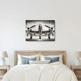 Obraz - Warbird (70x50 cm)