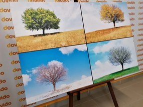 Obraz štyri ročné obdobia