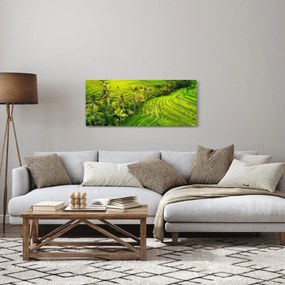 Obraz - Ryžové terasy (120x50 cm)