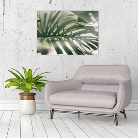 Obraz - List monštier (70x50 cm)