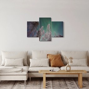 Obraz polárna žiara nad zamrznutými stromami (90x60 cm)