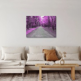 Obraz - Cesta parkom (70x50 cm)