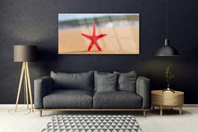 Obraz na akrylátovom skle Pláž hviezdice umenie 120x60 cm