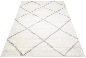 Dizajnový koberec LENNON - SHAGGY ROZMERY: 60x100