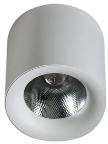 LED bodové svetlo Mane 20W Dimm biele