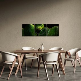 Obraz - Zelený had (s hodinami) (90x30 cm)