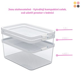 Organizér do chladničky, s vekom a špeciálnou podložkou 2l CAUMA