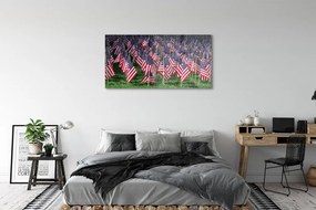Obraz plexi Usa vlajky 125x50 cm