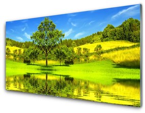 Obraz plexi Lúka strom príroda 120x60 cm