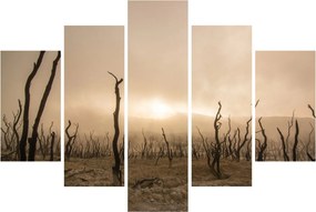 Obraz - Holé stromy (150x105 cm)