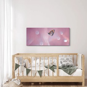 Obraz - Motýlik (120x50 cm)