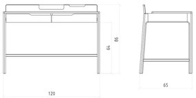 Pracovný stôl z dubového dreva 65x120 cm Twig – The Beds