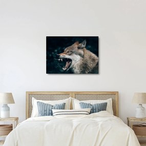 Obraz vlka (70x50 cm)
