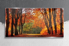 Obraz na skle Jesenné lesná voľne žijúcich živočíchov