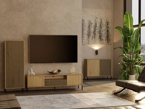 TV stolek KAMARO 164 cm dub artisan