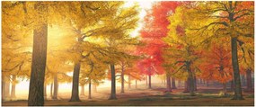Obraz jesenných stromov (120x50 cm)
