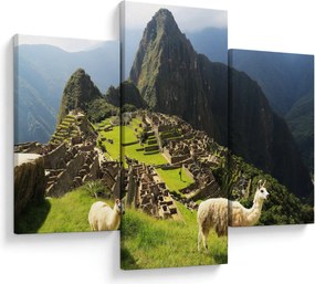 Obraz - Lamy v Machu Picchu (90x60 cm)