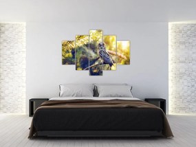 Obraz sovy na strome (150x105 cm)