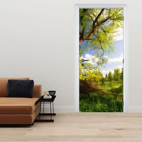 Fototapeta na dvere - Jarná lúka (95x205cm)