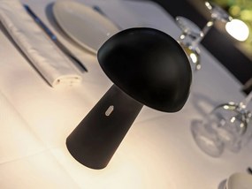 Shitake exteriérová lampa čierna