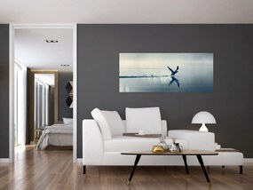 Obraz - Potáplica (120x50 cm)
