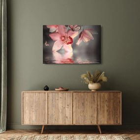 Obraz - Kvety a motýľ (90x60 cm)
