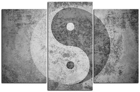 Obraz na plátne - Jin a jang symbol 1170QC (135x90 cm)