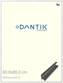 DANTIK rám na obraz 60x80 | ALU Stříbrná lesklá (Plexi Čiré)
