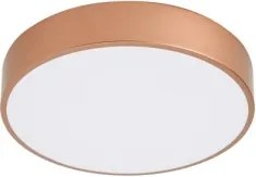 BRILAGI - LED stropné svietidlo POOL LED/36 W/230 V 3000/4000/6000 K, priemer 30 cm, bronzové