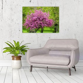 Obraz rozkvitnutého stromu na lúke (70x50 cm)