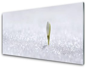 Skleneny obraz Snežienka sneh zima 125x50 cm