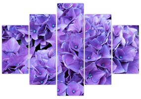 Obraz fialových kvetov (150x105 cm)