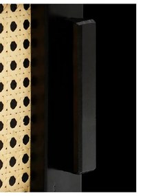 Čierny TV stolík z borovicového dreva s ratanovými dvierkami Støraa Jolene