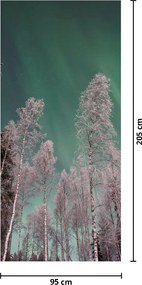Fototapeta na dvere - Polárna žiara nad zmrznutými stromami (95x205cm)
