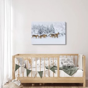 Obraz - Vlci v horách (90x60 cm)