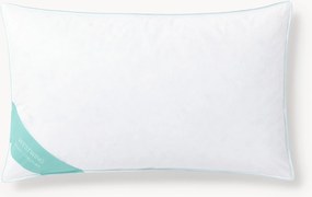 Paplón z páperia a peria Comfort, stredný