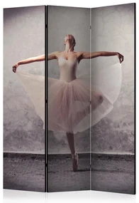 Artgeist Paraván - Classical dance - poetry without words [Room Dividers]