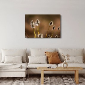 Obraz - Travina (90x60 cm)