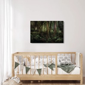 Obraz - Tajomný les (90x60 cm)