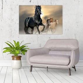 Obraz - Kone (90x60 cm)