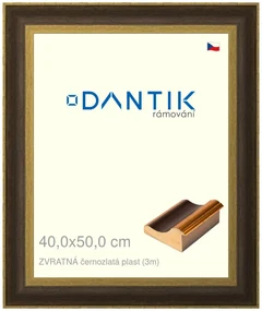 DANTIK rám na obraz 40x50 | ZVRATNÁ černozlatá plast (Plexi Čiré)