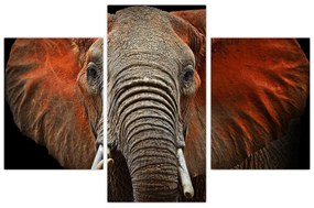 Obraz - Slony z Tsavo (90x60 cm)