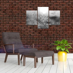 Obraz - Jesenná lúka (90x60 cm)